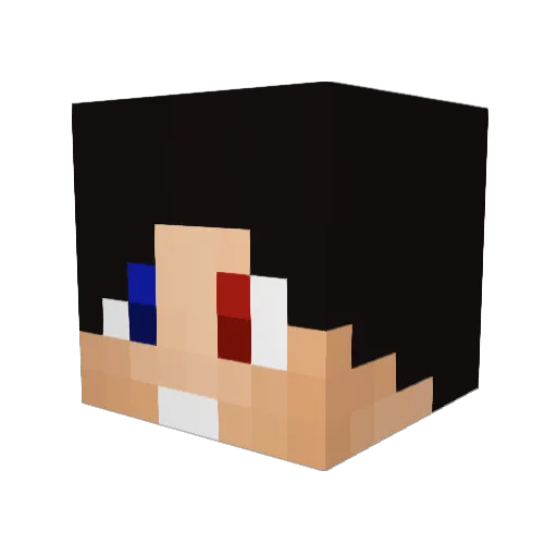 WelloWonder Minecraft avatar head, 3D render