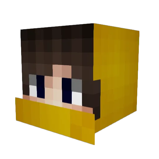 Wells2014 Minecraft avatar head, 3D render