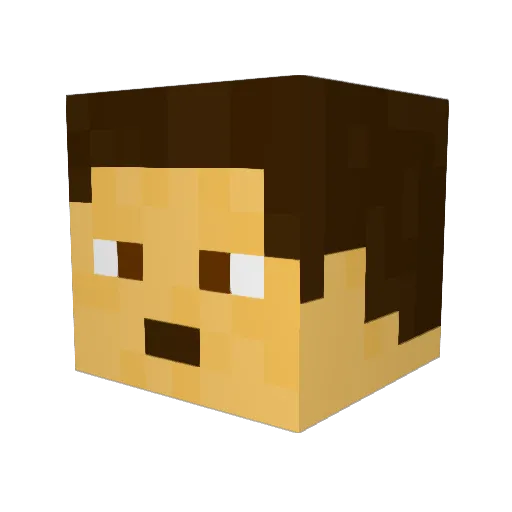 Wells86 Minecraft avatar head, 3D render