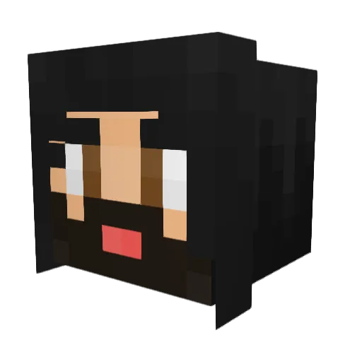 WellsN Minecraft avatar head, 3D render