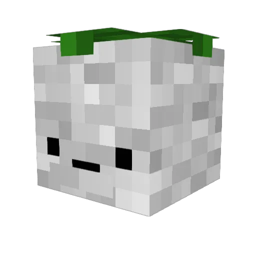 Wellthen23 Minecraft avatar head, 3D render