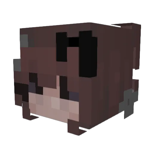 Wellu79 Minecraft avatar head, 3D render