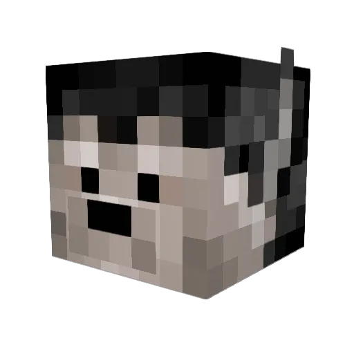 WelshMullet Minecraft avatar head, 3D render