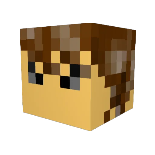 Welshman234 Minecraft avatar head, 3D render