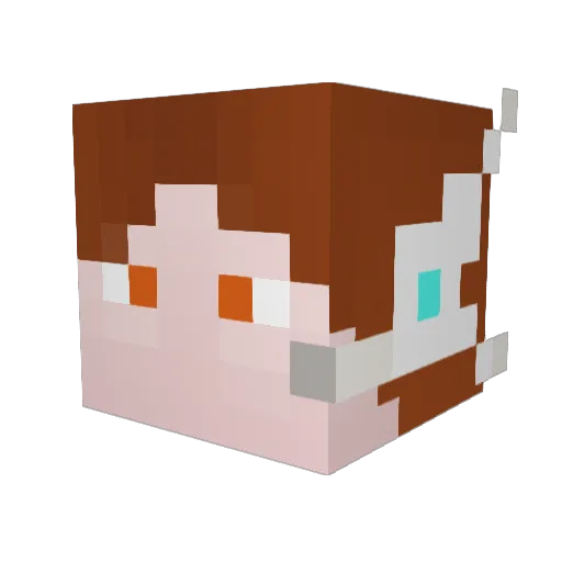Wember3 Minecraft avatar head, 3D render
