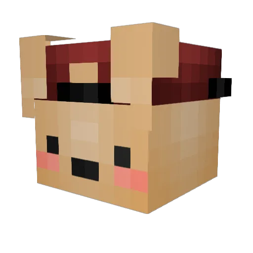 Wen_mang_ Minecraft avatar head, 3D render