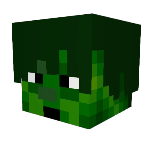 Wendelim Minecraft avatar head, 3D render