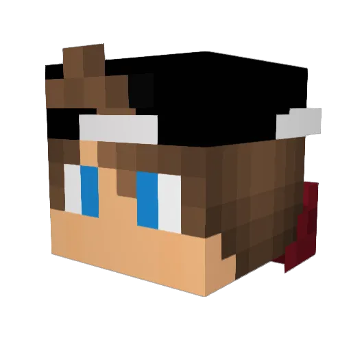 Wendi60 Minecraft avatar head, 3D render