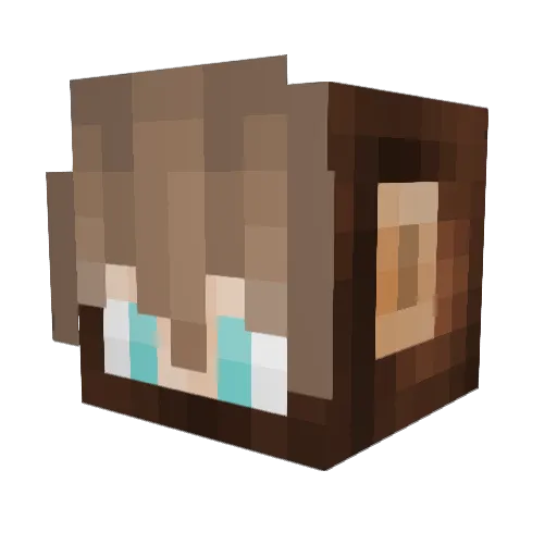Wendizz Minecraft avatar head, 3D render