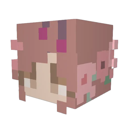 Wendizzle420 Minecraft avatar head, 3D render