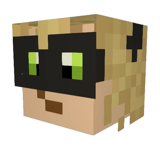 Wendrom Minecraft avatar head, 3D render