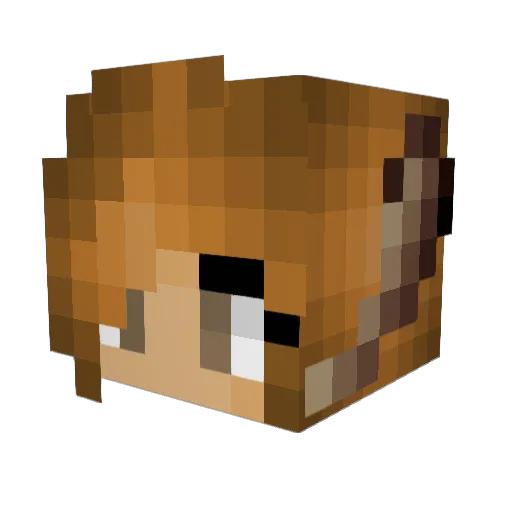 Wendy_Marvell12 Minecraft avatar head, 3D render