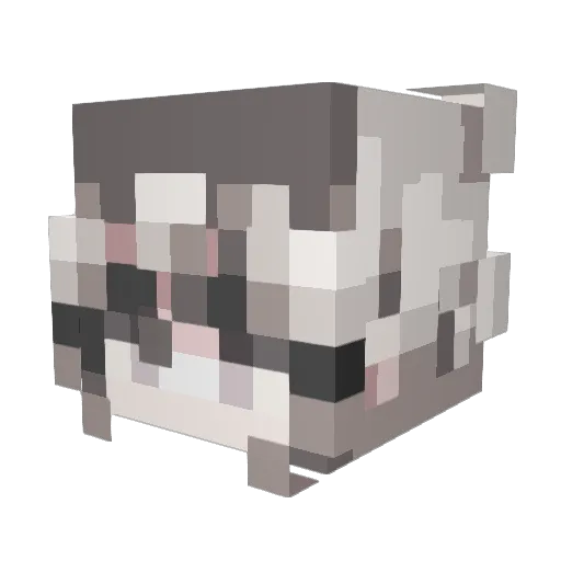 Wendy_RV Minecraft avatar head, 3D render