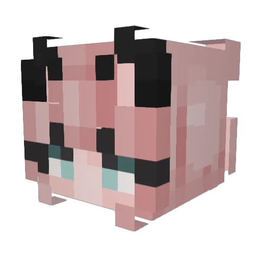 Wendygumin Minecraft avatar head, 3D render