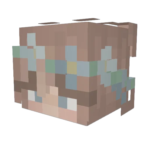 WendysEater74 Minecraft avatar head, 3D render