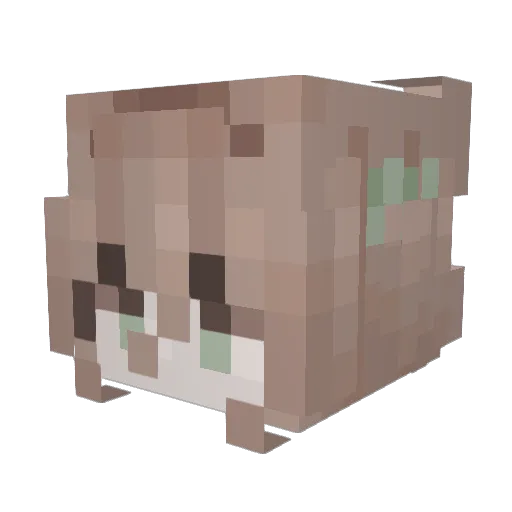 Wendys_Stage Minecraft avatar head, 3D render