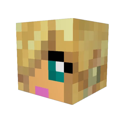 Wengeng Minecraft avatar head, 3D render