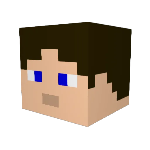 Wenngin Minecraft avatar head, 3D render