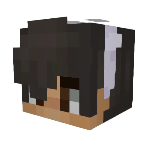 WenoZeno Minecraft avatar head, 3D render