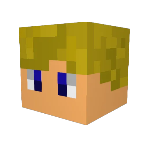 Wenok53 Minecraft avatar head, 3D render