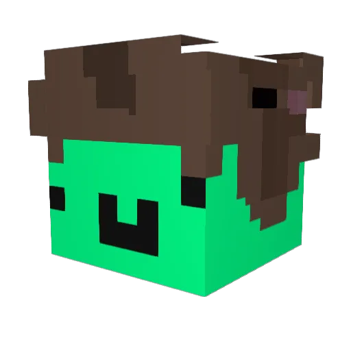 Wenqor Minecraft avatar head, 3D render