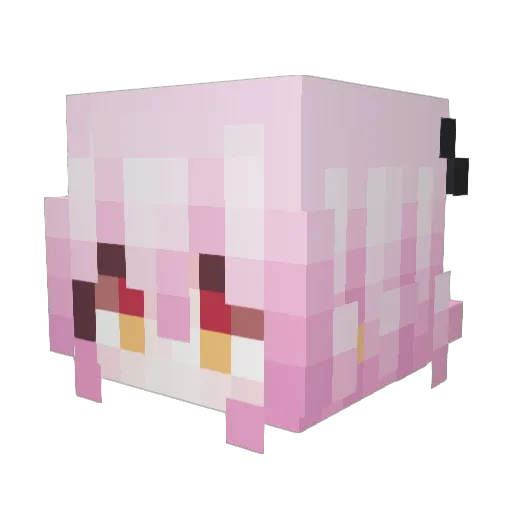 WenrenTY Minecraft avatar head, 3D render
