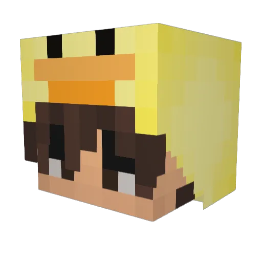 Wenstr0m Minecraft avatar head, 3D render