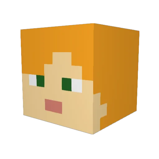 Wentnuocca Minecraft avatar head, 3D render