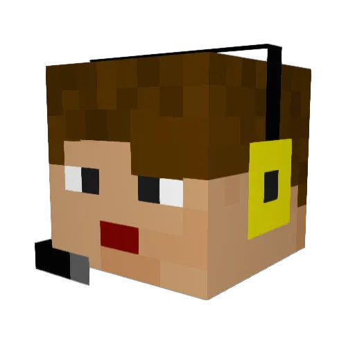 Wentuo02 Minecraft avatar head, 3D render