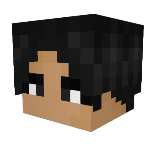 Wentzy50 Minecraft avatar head, 3D render