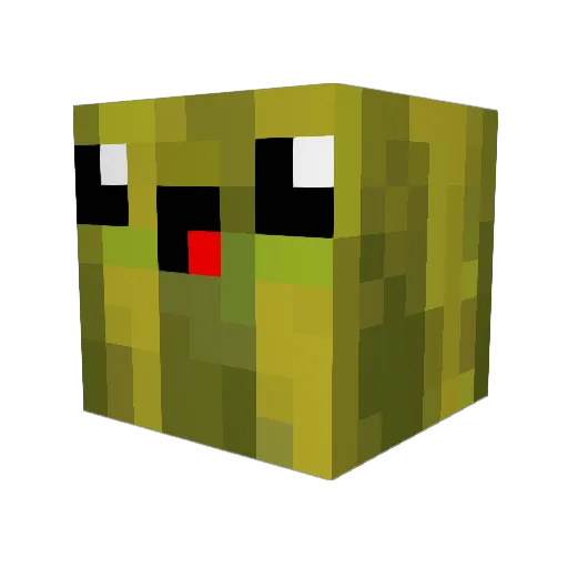 Wer0xx_ Minecraft avatar head, 3D render