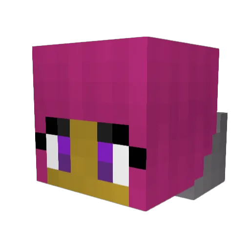 Wera2007 Minecraft avatar head, 3D render