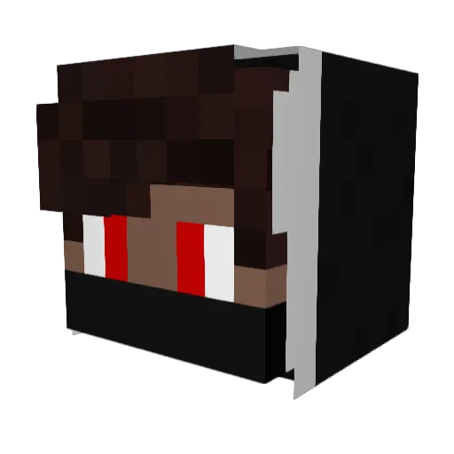 Werbiano Minecraft avatar head, 3D render
