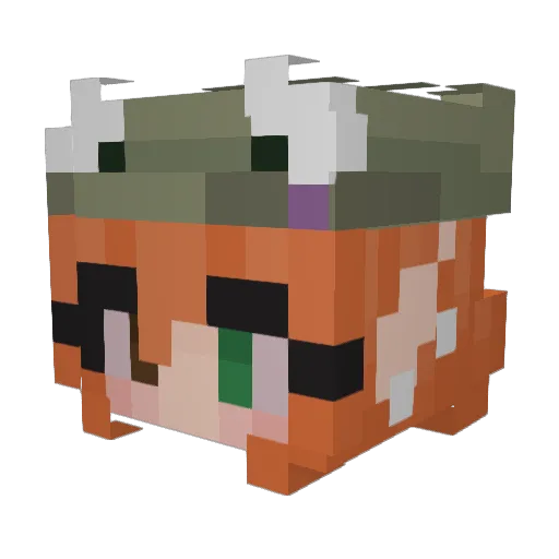 Wercix369 Minecraft avatar head, 3D render