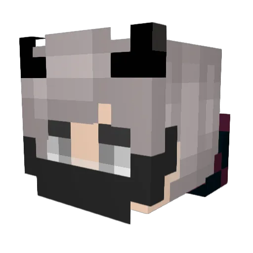 Werdermax Minecraft avatar head, 3D render