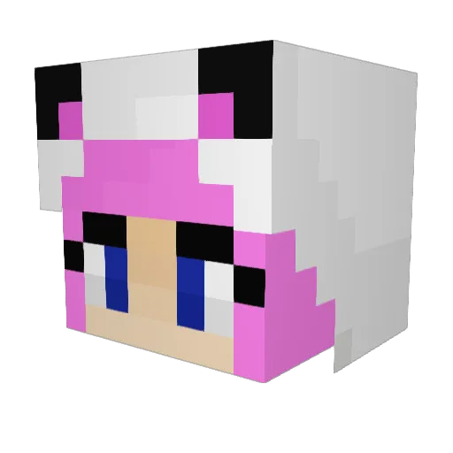 WereCat532 Minecraft avatar head, 3D render