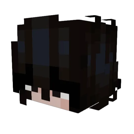 WereWaory Minecraft avatar head, 3D render