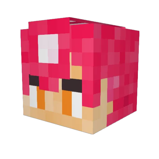 Weregonnacrash Minecraft avatar head, 3D render