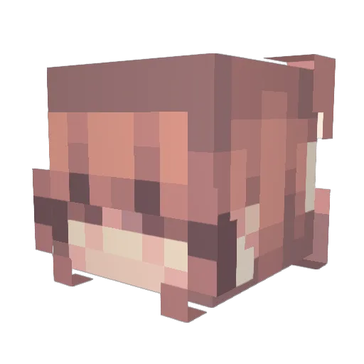 WerewolfGirl500 Minecraft avatar head, 3D render