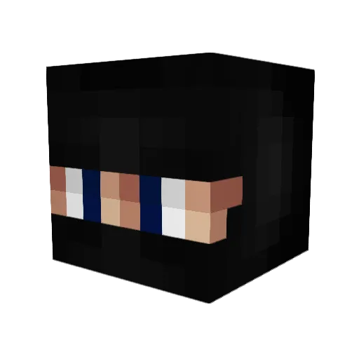 WeritW Minecraft avatar head, 3D render