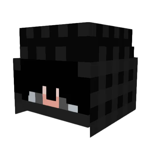 Weriyz Minecraft avatar head, 3D render