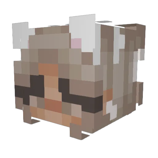 WerkBoek Minecraft avatar head, 3D render