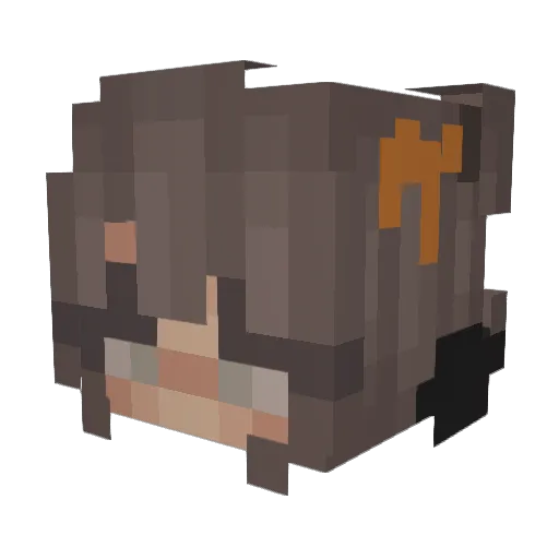 WerkMevrouw Minecraft avatar head, 3D render