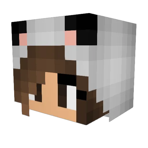 Werka9 Minecraft avatar head, 3D render
