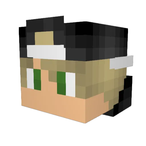Werle Minecraft avatar head, 3D render