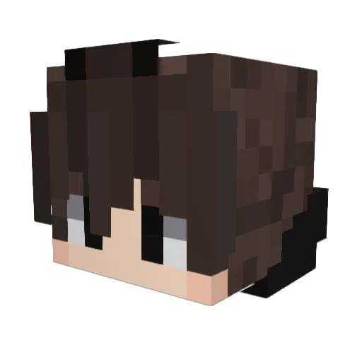 WernWey Minecraft avatar head, 3D render