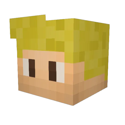 Werni15 Minecraft avatar head, 3D render