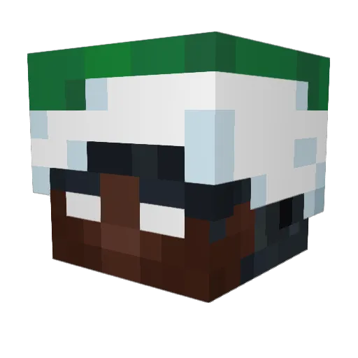 Werson320 Minecraft avatar head, 3D render