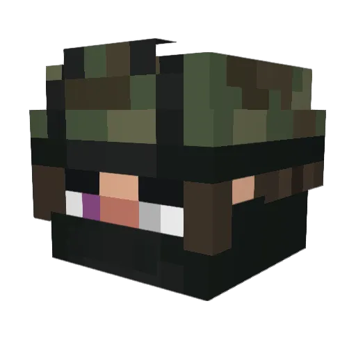 Wert0WR Minecraft avatar head, 3D render