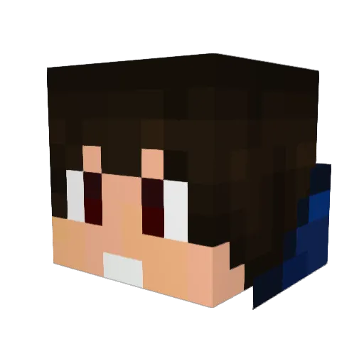 WertyFin Minecraft avatar head, 3D render